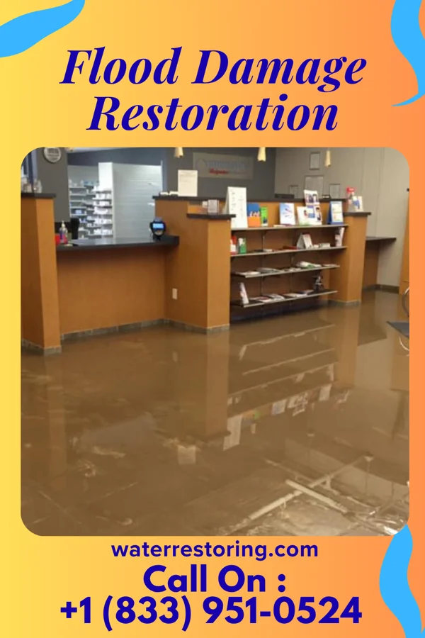 Flood Damage Restoration in Lula, MS