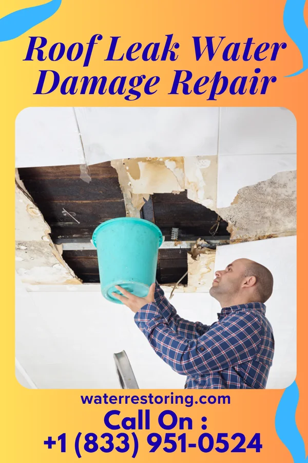 Roof Leak Water Damage Repair in Lula, MS