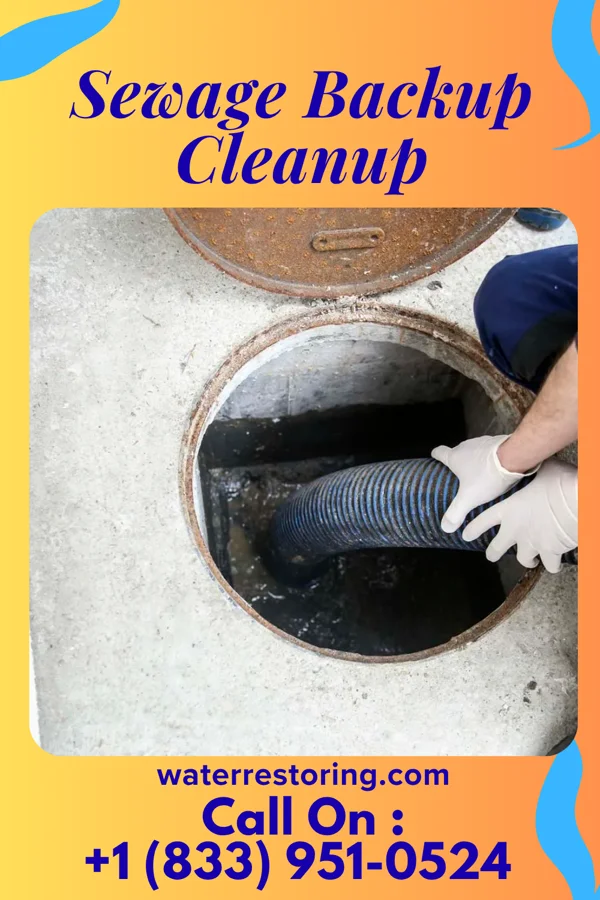 Sewage Backup Cleanup in Lula, MS